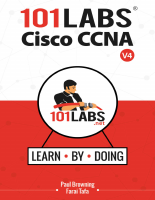 CCNA LABS.pdf